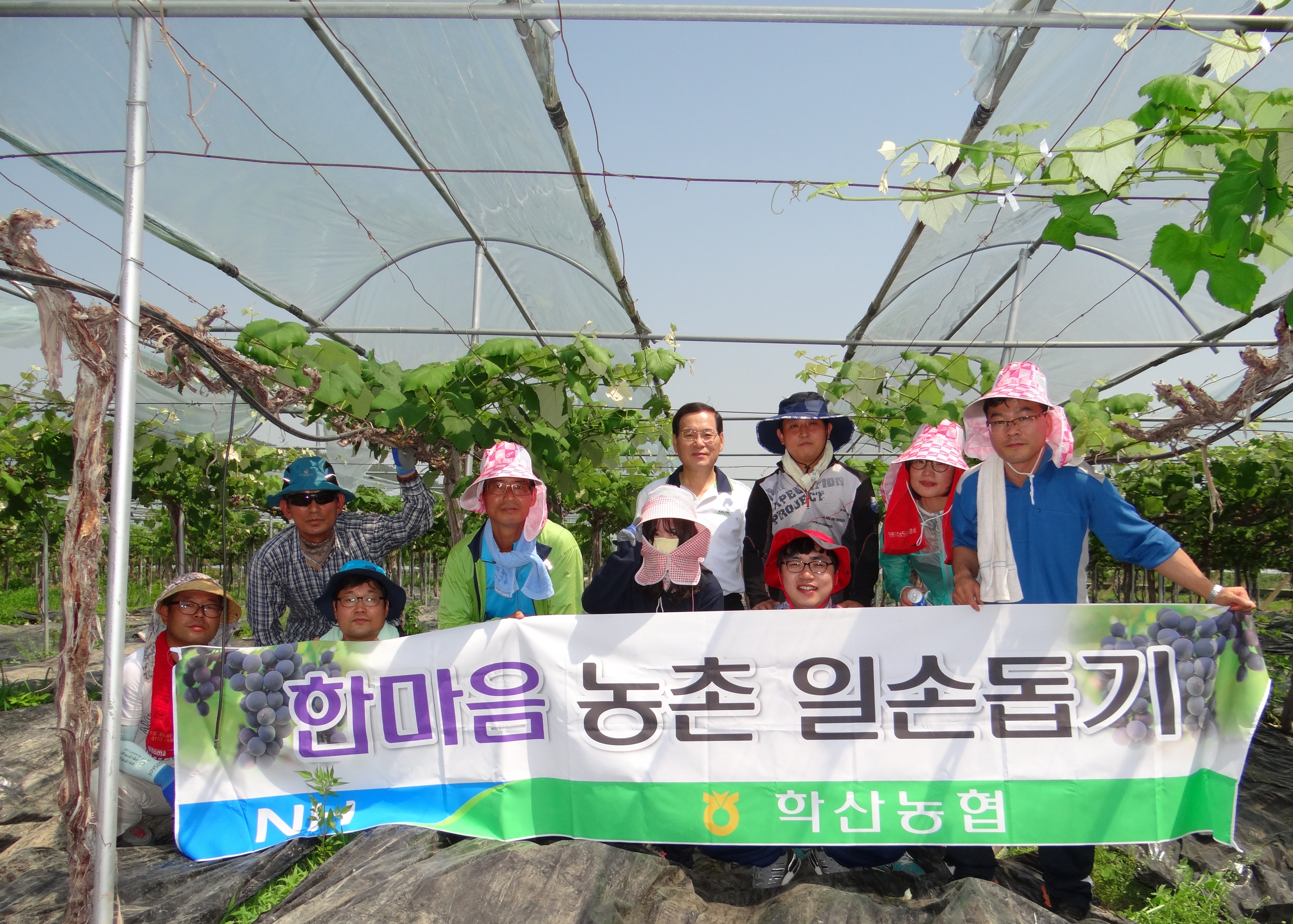 학산농협 관내(학산,양산,용화) 한마을 농촌일손돕기 실시 대표 이미지