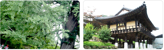 영국사